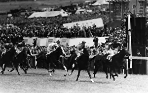 Tulyar with C Smirke jockey wins the Epsom Derby in 1952 Gay Time 2nd
