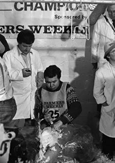01029 Prints: Turkey plucking championship at Henley. December 1984