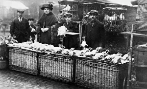 1900 Prints: Turn of the century picture of Newcastles Big Market when livestock was on sale each