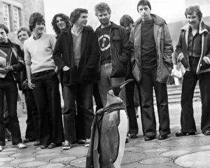 Penguin Prints: Tuxedo the king penguin at Edinburghs Napier College of Commerce and Technology