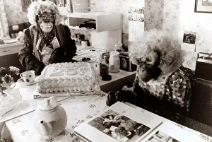 Wigs Prints: TV Chimps, Ada and Dolly - October 1984 who feature in many Brooke Bond TV
