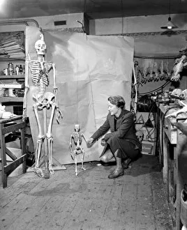 Skeleton Collection: TW Fazakerley - Skeleton Maker December 1957