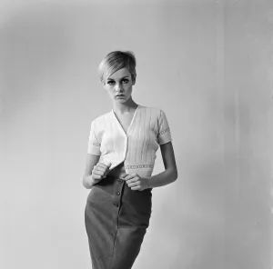 Twiggy - (born Leslie Hornby, and married name Leslie Lawson)
