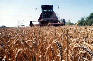 Core53 Prints: A typical countryside picture showing harvest time and a combine harvester working in a