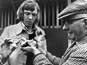 Images Dated 30th June 1974: Unisex pigeon at Kings Lynn with its owner Anthony Batterby and Len Rush
