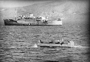 The United Nations, having decided to forestall a Japanese move against the Vichy French