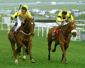Cheltenham Prints: Urabande and jockey Charlie Swan winning the Sun Alliance Novices Hurdle at Cheltenham