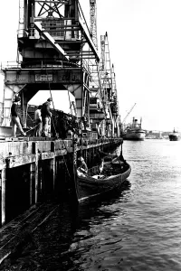 A Viking longboat arriving on the river Tyne for the Newcastle Regatta in July 1980