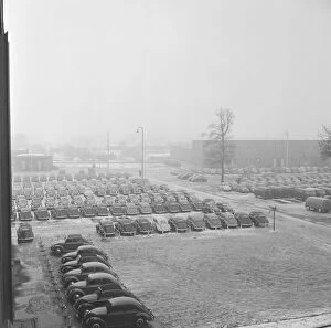 Ranks Collection: Volkswagen Beetles and Camper vans seen outside the Volkswagen factory at Wolfsburg