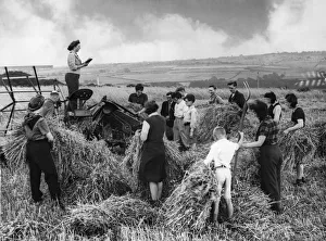Agriculture Prints: Volunteer harvesters holds a service and prayer in the harvest field at Wylam