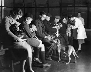Queues Prints: The Waiting Room of the out patients department at the Royal Veterinary College