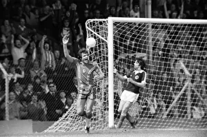 Wales 3-0 Scotland, British Championship match at Ninian Park, Saturday 19th May 1979