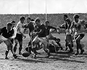 Wales v France rugby match. Welsh forward John Lloyd dribbling the ball in the loose