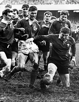 Wales v Ireland international rugby match at Cardiff arms Park