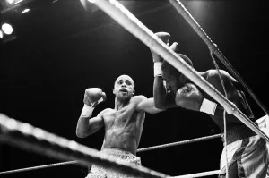 WBC and IBF, welterweight title fight between Lloyd Honeyghan and Johnny Bumphus