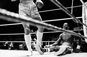 WBC and IBF, welterweight title fight between Lloyd Honeyghan and Johnny Bumphus