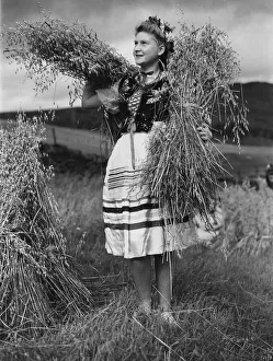 Crops Prints: Wearing national dress a group of Polish High School girls are busy helping with