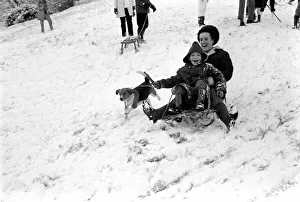 Weather snow scenes at Hampstead Heath. Winter: Even the little dog loves the thrill of