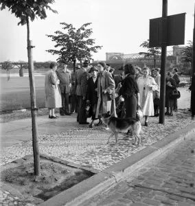 00008 Prints: West Berlin 1953. Berliner of the Eastern sector being advised by the West Police not to