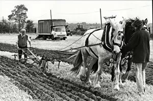 Images Dated 15th October 1985: West Hallam Ploughing competition 15th October 1985