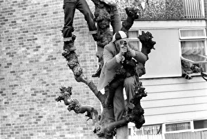 West Ham fans try to get a good view above the crowds during the West Ham victory parade