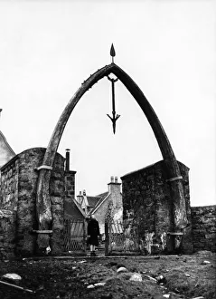 Places Prints: The whalebone arch, the largest jaw bones of a whale in captivity at Lakefield House in
