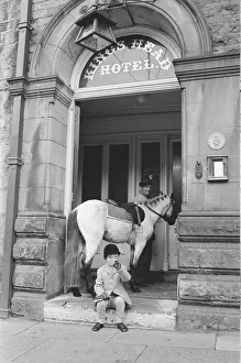 Whisky the pony at his local pub, The Kings Head Hotel Bar in Barnard Castle County