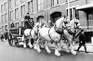 Whitbreads Shirehorses in St. Thomass Street leading horses hengist