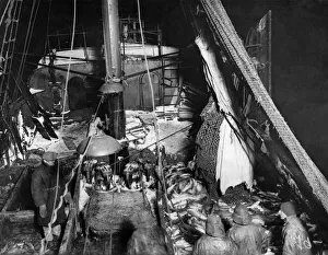Catch Prints: White Sea trawling on SS Kastorin. Fish pouring out of trawl into fish pounds