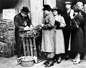 Tomatoes Prints: A wholesaler at Covent Garden market in London registers his customers