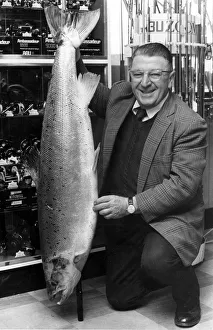 Fisherman Prints: What a whopper! This 36 and a half pound salmon was landed on the river Wye by Coventry