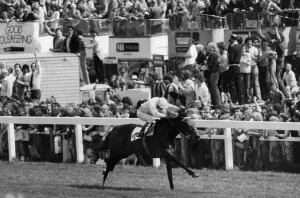 Horse Prints: Willie Carson winning the 200th Derby on Troy at Epsom watched by crowds standing on cars