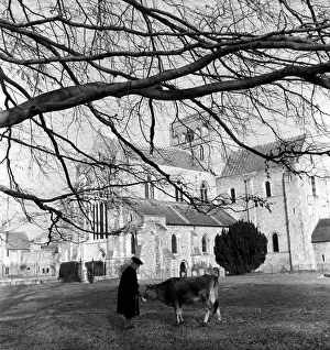 Gothic Prints: Winchester City. View at the back of Winchester Cathedral in Hampshire, Southern England