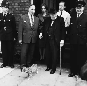 00719 Prints: Winston Churchill pictured on his final visit to the House of Commons