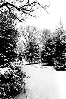 Winter Weather - Snow Scenes 20 February 1986 - Rural scene in Northumberland