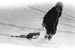 Winter Weather - Snow Scenes 20 February 1986 - Rural scene in Northumberland