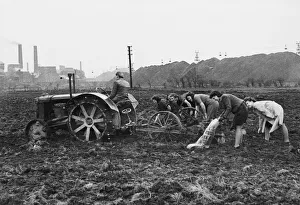 Wives of miners working in Grimethorpe colliery helping to cultivate reclaimed land
