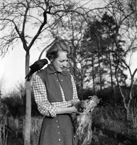 00011 Prints: Woman with a bird perched on her shoulder looking at two dead squirrels in the garden of