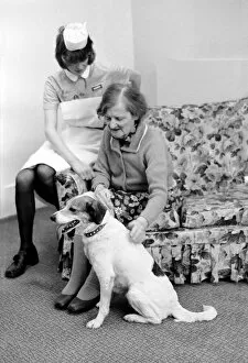 Images Dated 7th February 1975: Woman and Dog. Miss Emily Hoban 79. February 1975 75-00750-005