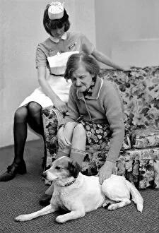 Images Dated 7th February 1975: Woman and Dog. Miss Emily Hoban 79. February 1975 75-00750-003