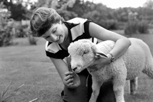 Images Dated 10th June 1980: Woman feeding and grooming Larry the lamb. June 1980