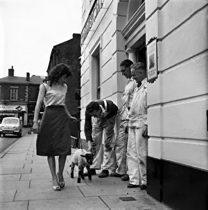Woman and Lamb. 20yrs old Margaret Harrison of Stalybridge Cheshire with her pet lamb
