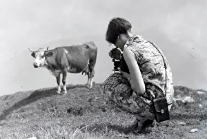 Woman photographing a cow at Schynige Platte in Switzerland August 1929