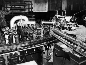 00048 Prints: Women in industry. G. E. C. Electric Light Bulb Factory. Circa 1955 P006521