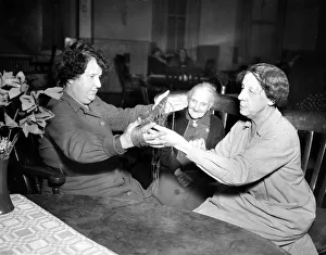 00090 Prints: Women winding wool in preparation to knitting at a south coast nursing home. Circa 1953