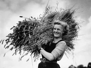 Harvest Prints: Women during WW2 - Kathleen Joyce has 28 days Agricultural Leave