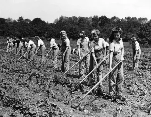 Land Prints: Womens Land Army, Circa 1941. Womens Land Army (WLA)