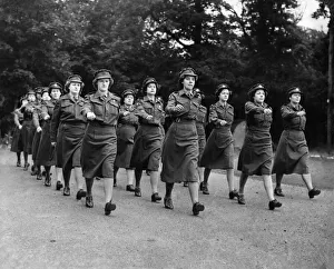 Formation Prints: Womens Territorial Army. Camp at Farnley Park near Otley, Yorkshire