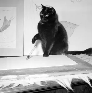 The Wonder-Cat Topsy the cat has had his drawings exhibited at an Art exhibition in
