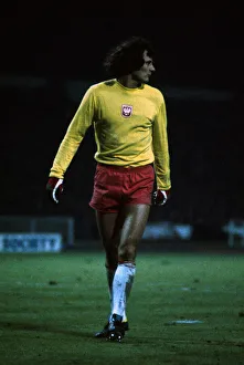 World Cup Qualifier at Wembley Stadium England 1 v Poland 1 Polish goalkeeper
